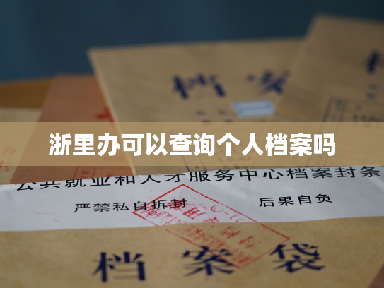 浙里办可以查询个人档案吗