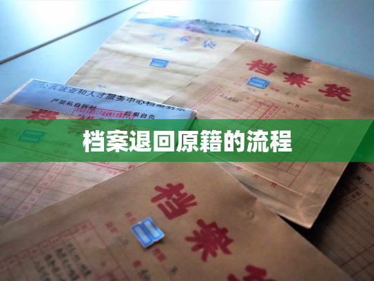 档案退回原籍的流程