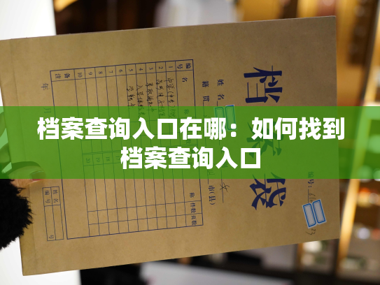 档案查询入口在哪：如何找到档案查询入口