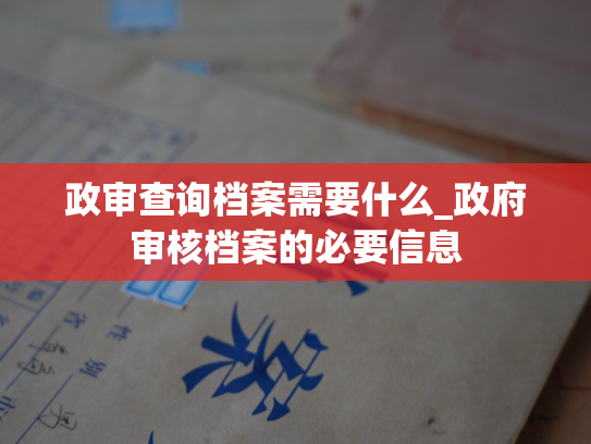 政审查询档案需要什么_政府审核档案的必要信息