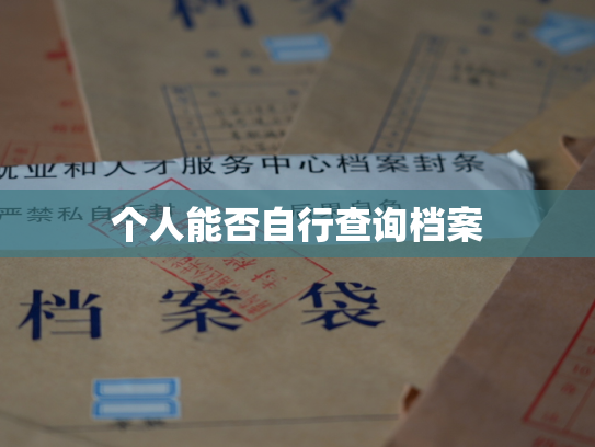 个人能否自行查询档案