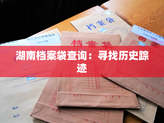 湖南档案袋查询：寻找历史踪迹