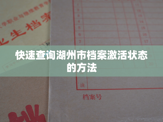 快速查询湖州市档案激活状态的方法