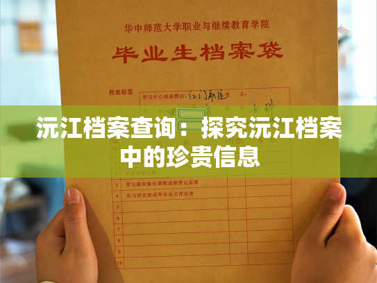 沅江档案查询：探究沅江档案中的珍贵信息