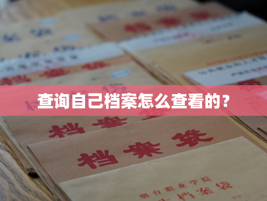 查询自己档案怎么查看的？