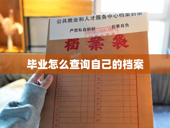 毕业怎么查询自己的档案