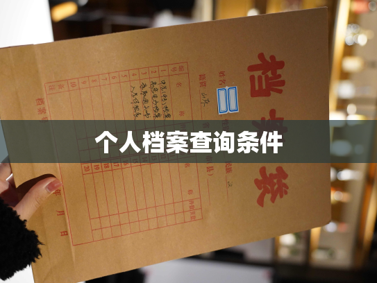 个人档案查询条件