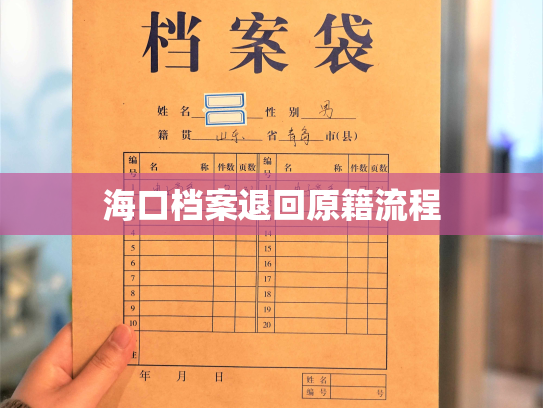 海口档案退回原籍流程