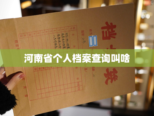 河南省个人档案查询叫啥