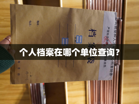 个人档案在哪个单位查询？