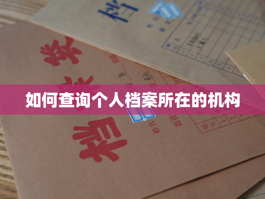 如何查询个人档案所在的机构