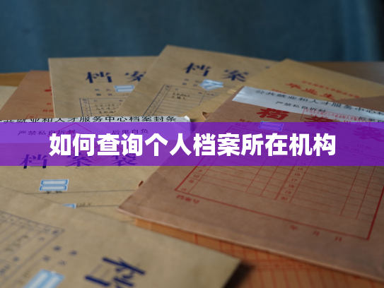 如何查询个人档案所在机构