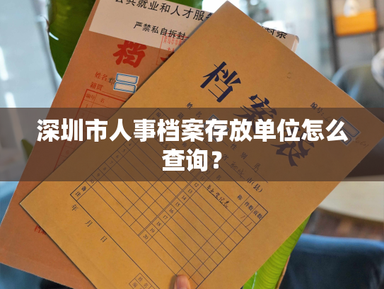 深圳市人事档案存放单位怎么查询？