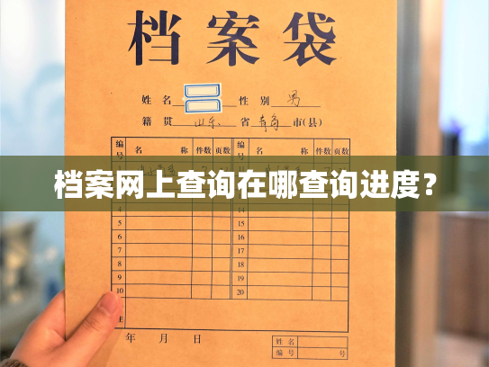 档案网上查询在哪查询进度？