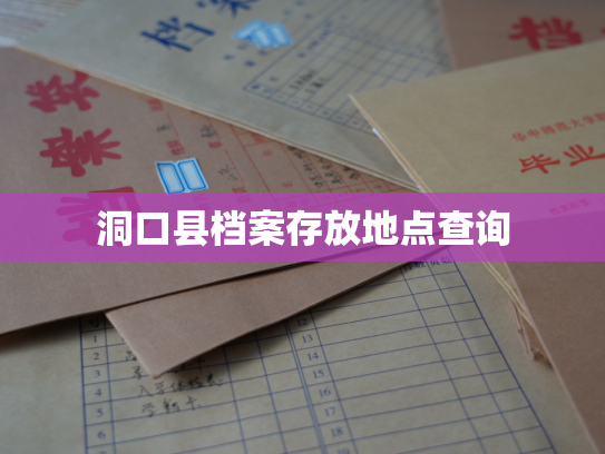 洞口县档案存放地点查询