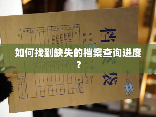 如何找到缺失的档案查询进度？