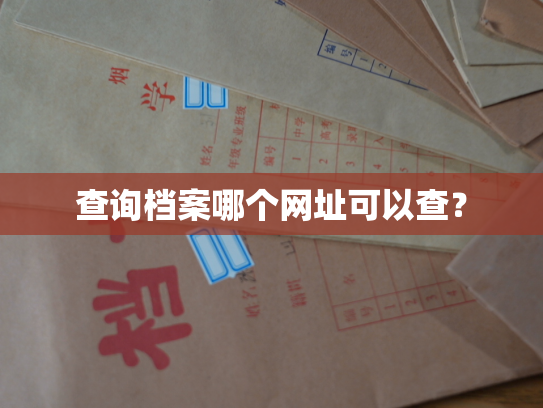 查询档案哪个网址可以查？