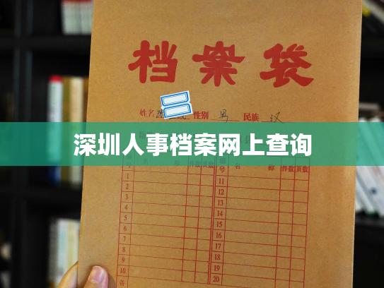 深圳人事档案网上查询
