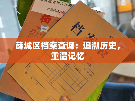 薛城区档案查询：追溯历史，重温记忆