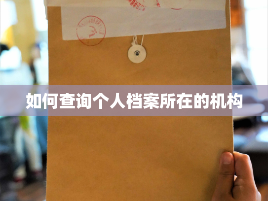 如何查询个人档案所在的机构