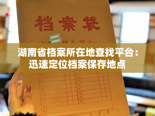 湖南省档案所在地查找平台：迅速定位档案保存地点