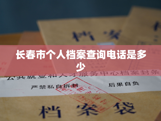 长春市个人档案查询电话是多少