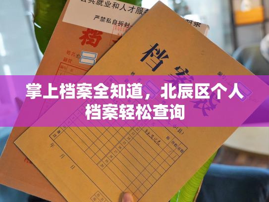 掌上档案全知道，北辰区个人档案轻松查询