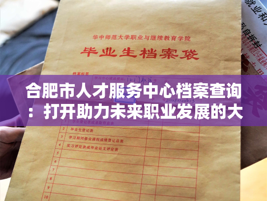 合肥市人才服务中心档案查询：打开助力未来职业发展的大门