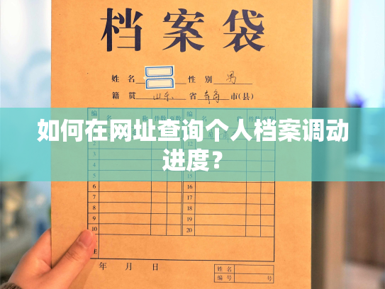 如何在网址查询个人档案调动进度？