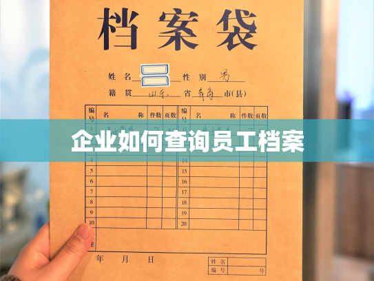 企业如何查询员工档案