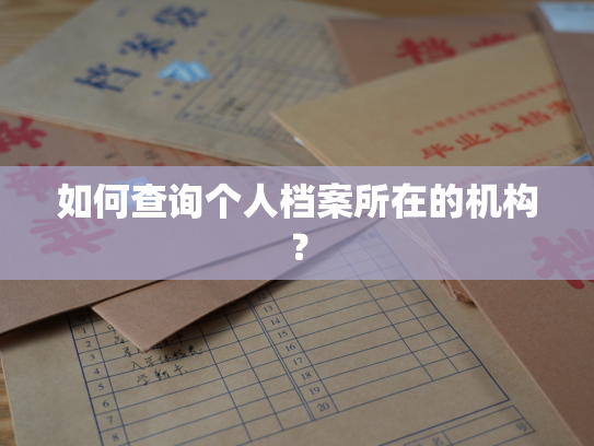 如何查询个人档案所在的机构？