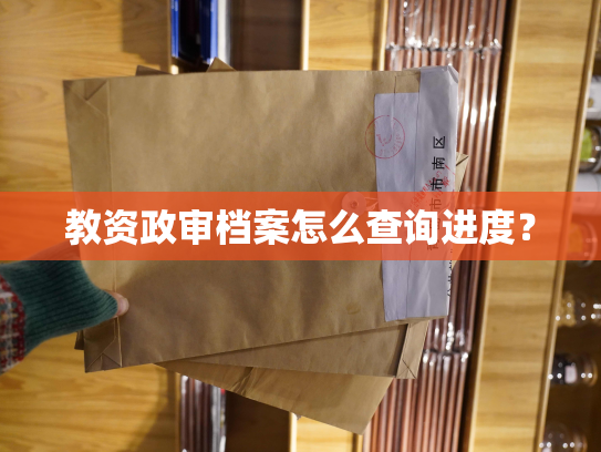 教资政审档案怎么查询进度？
