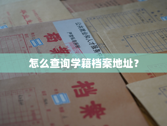 怎么查询学籍档案地址？