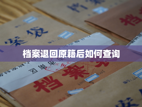 档案退回原籍后如何查询