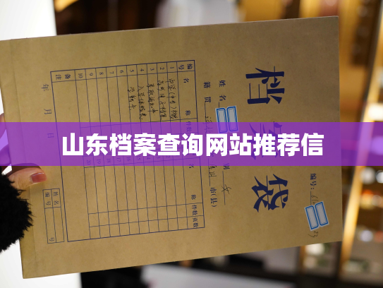 山东档案查询网站推荐信