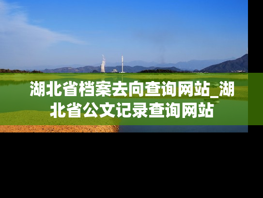 湖北省档案去向查询网站_湖北省公文记录查询网站