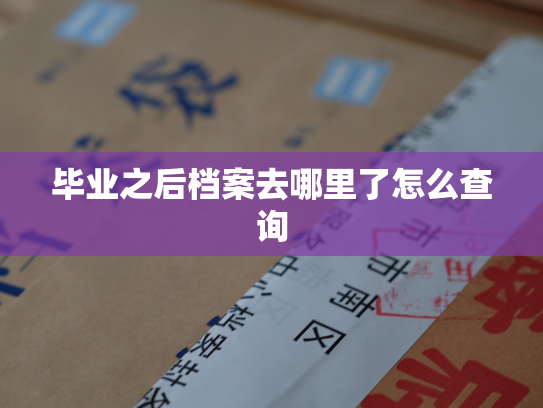 毕业之后档案去哪里了怎么查询