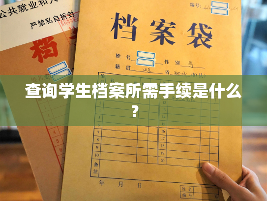 查询学生档案所需手续是什么？