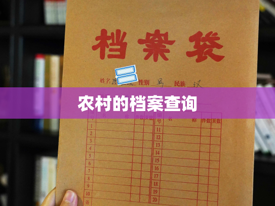 农村的档案查询