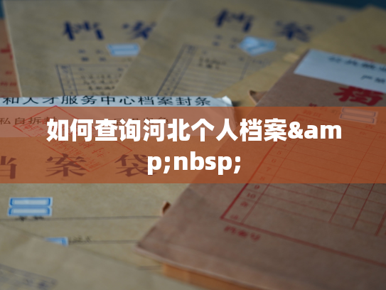 如何查询河北个人档案&nbsp;