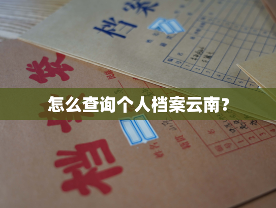 怎么查询个人档案云南？