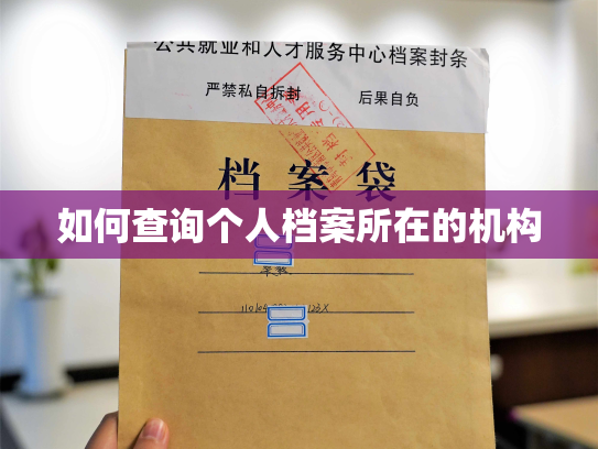 如何查询个人档案所在的机构