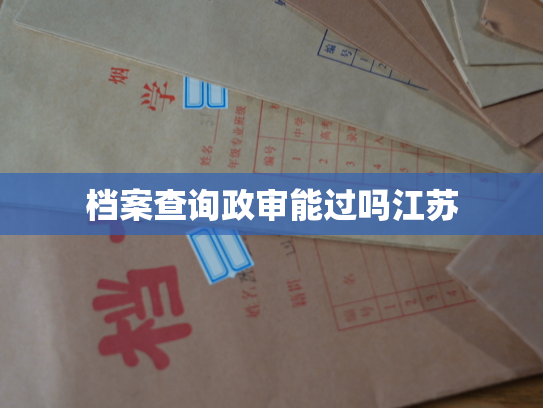 档案查询政审能过吗江苏