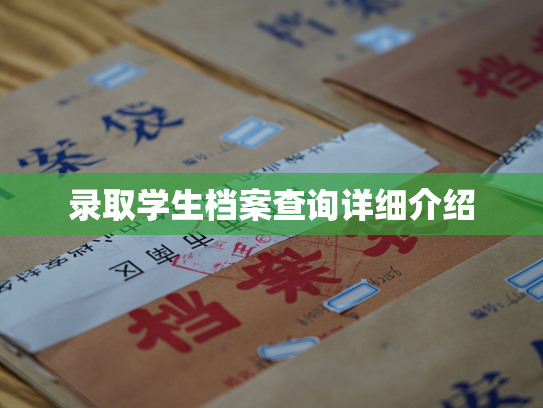 录取学生档案查询详细介绍