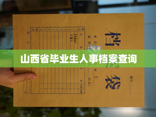 山西省毕业生人事档案查询