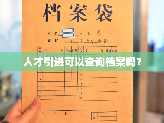 人才引进可以查询档案吗？