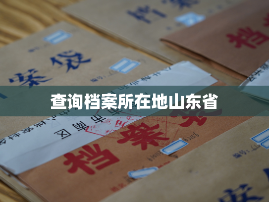 查询档案所在地山东省