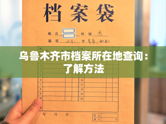 乌鲁木齐市档案所在地查询：了解方法