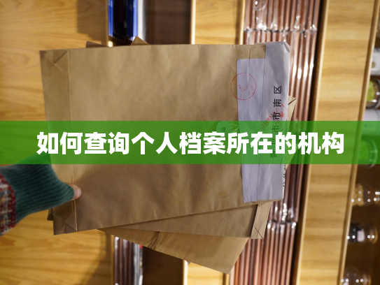 如何查询个人档案所在的机构