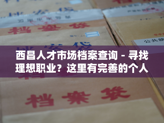 西昌人才市场档案查询 - 寻找理想职业？这里有完善的个人档案查询系统！